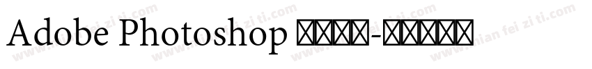 Adobe Photoshop 此文本图字体转换